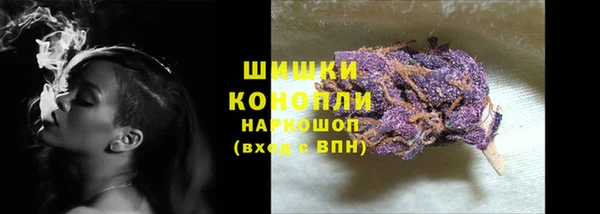 тгк Каменск-Шахтинский