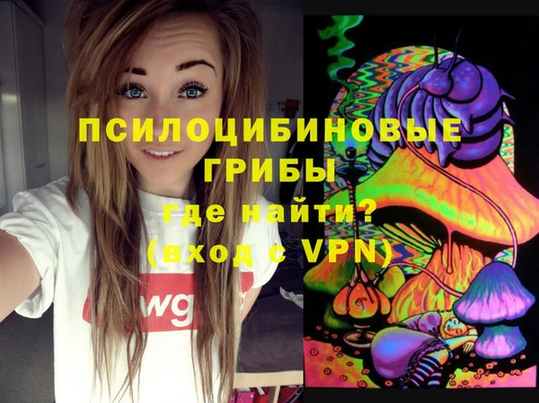 тгк Каменск-Шахтинский