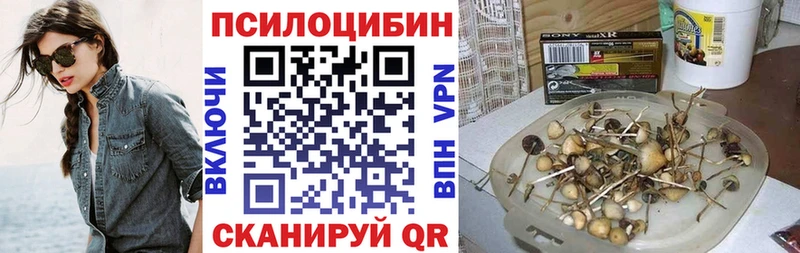Купить  Уфа  Псилоцибиновые грибы Magic Shrooms 